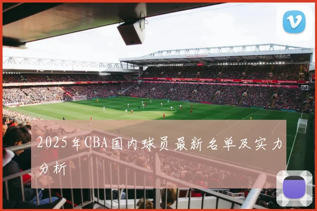 2025年CBA国内球员最新名单及实力分析