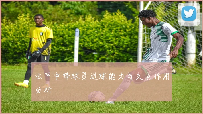 法甲中锋球员进球能力与支点作用分析