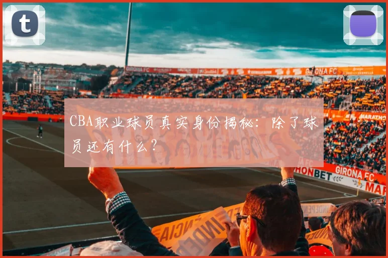 CBA职业球员真实身份揭秘：除了球员还有什么？