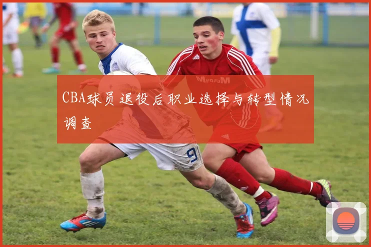 CBA球员退役后职业选择与转型情况调查